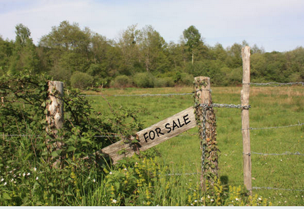 Prime Titled Land for Sale in Akwa – Douala’s Central Business District