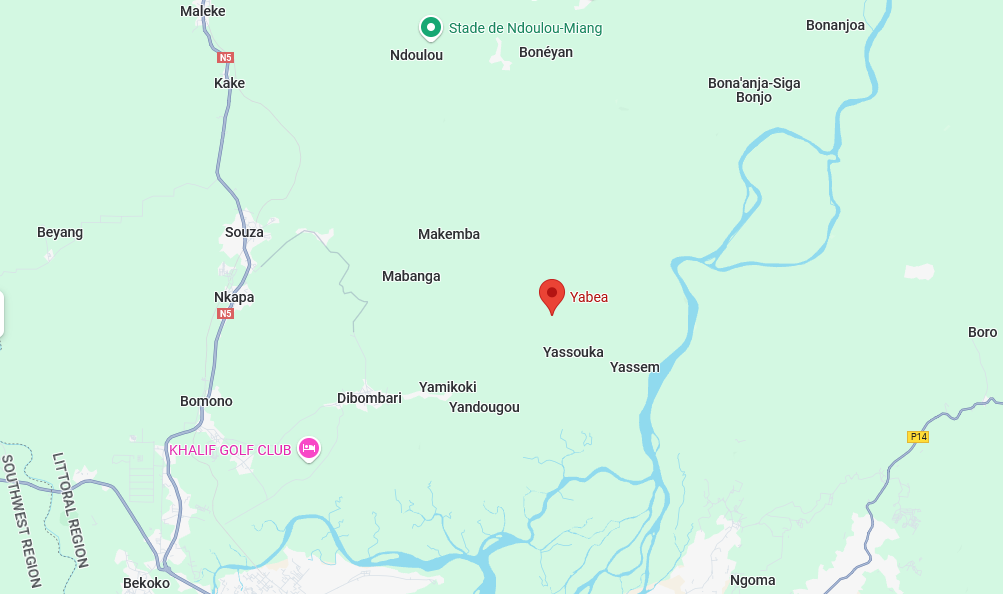Investment Opportunity: 16 Hectares of Titled Land in Yabea, Dibombari