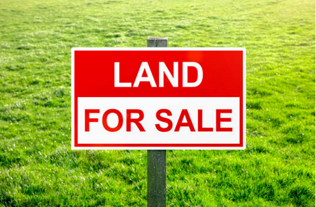 Titled Land for Sale – Yassa, Douala, Cameroon (Just 30m from the Main Road)