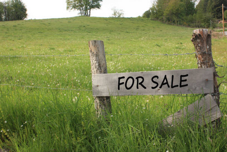 Titled Land for Sale – Cebec Ndobo - Bonaberi (Walking Distance from the Main Road)