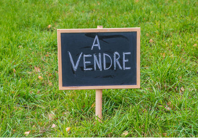 Prime Titled Land – 1,000 m² for Sale in Yassa, Douala - Cameroon